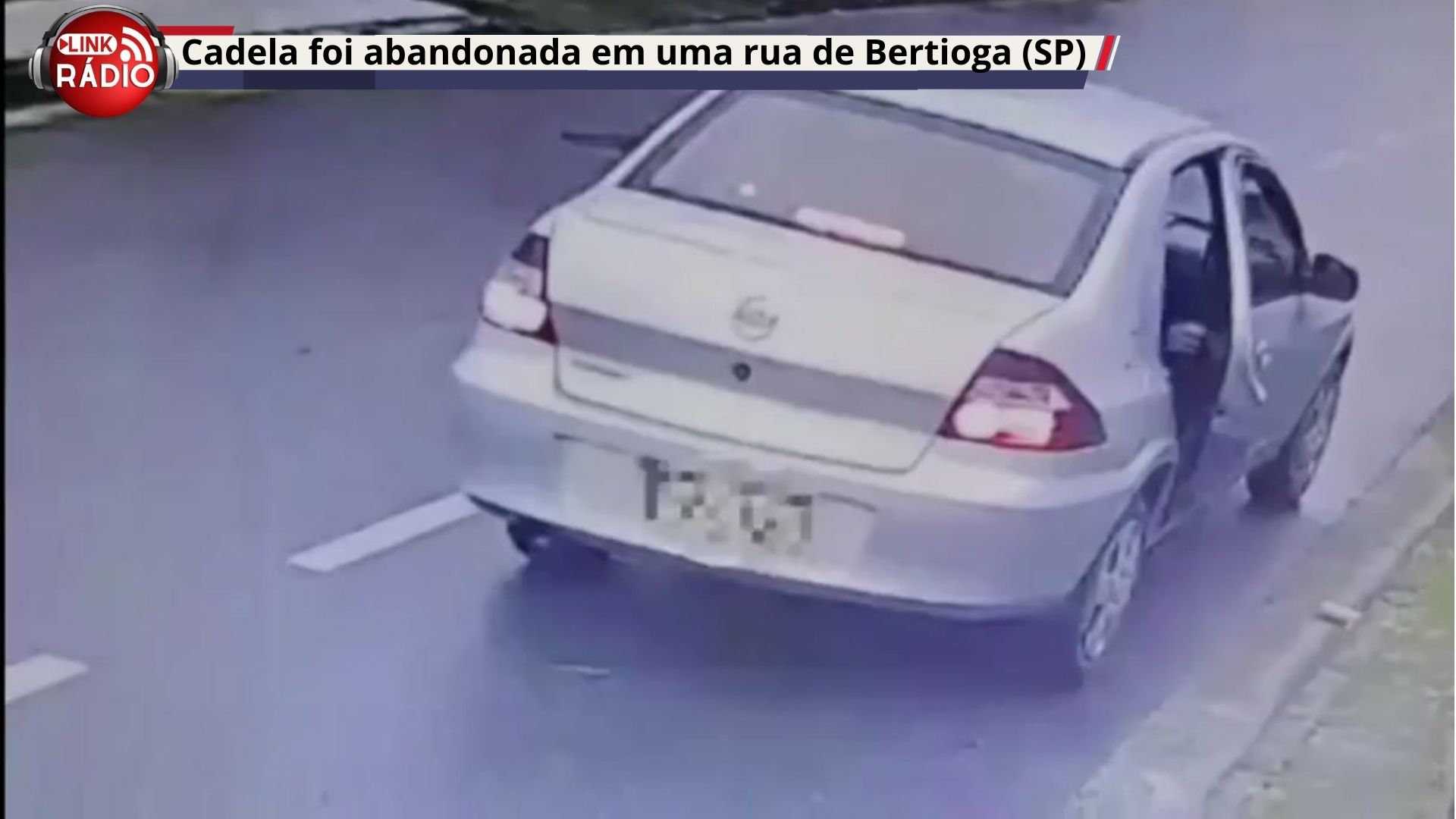 ​VÍDEO FLAGRA DESESPERO DE CADELA AO SER ABANDONADA EM UMA RUA DE BERTIOGA (SP)