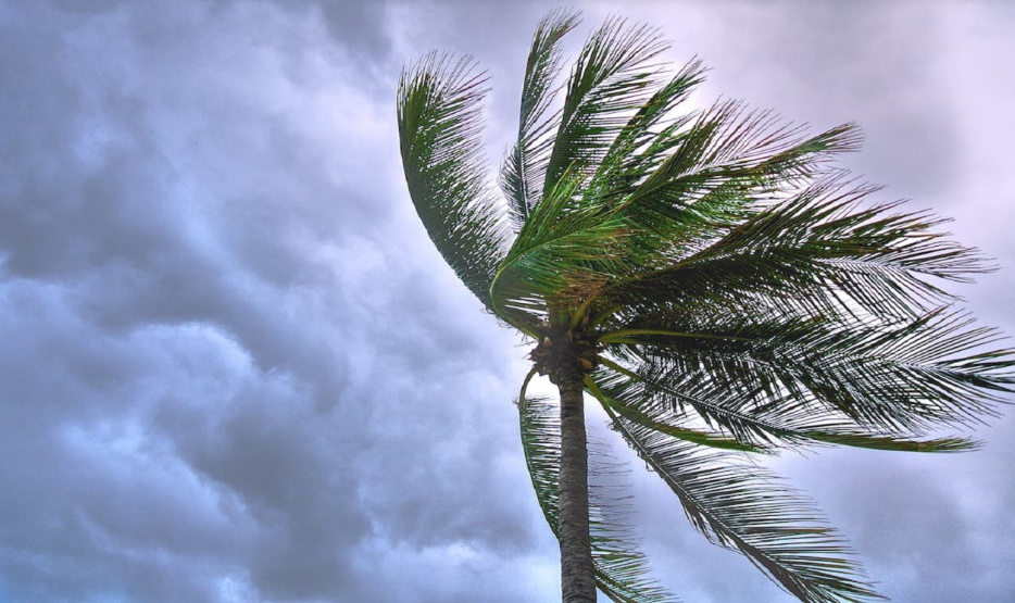 LITORAL ESTÁ EM ALERTA POR CAUSA DE FORTE VENTANIA PREVISTA PARA ESTE FIM DE SEMANA