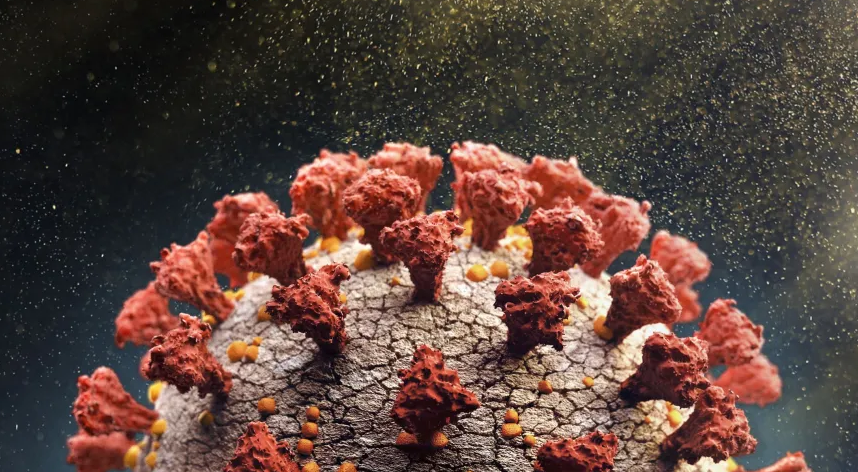 Nova variante da covid-19 ainda não foi detectada no Brasil