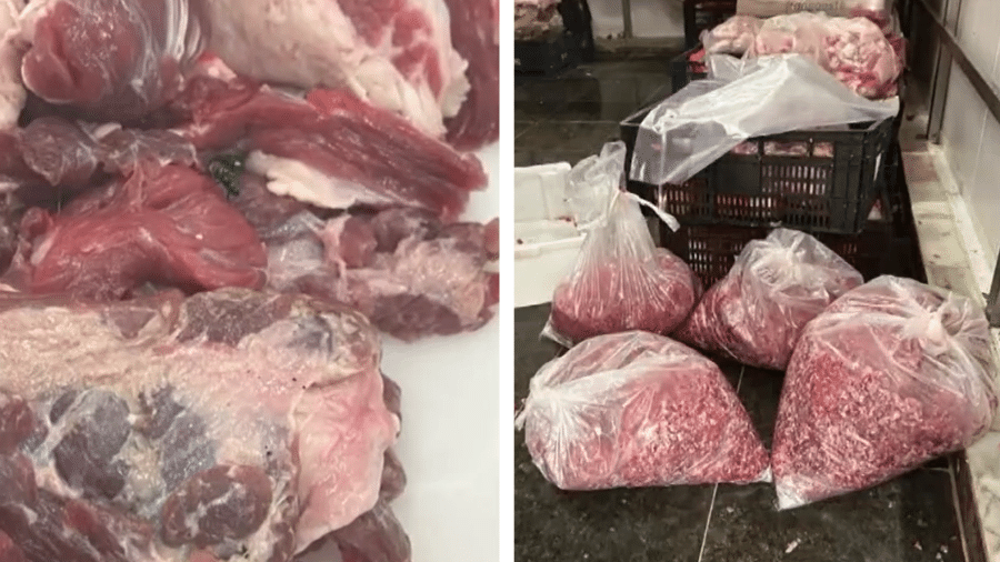 Açougue em Bertioga é interditado por vender carnes estragadas misturadas.