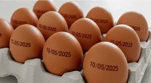 Após grande pressão, governo suspende a exigencia de data de validade em ovos
