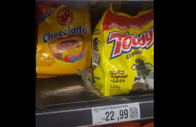 Moradora flagra rato entre produtos em supermercado de Bertioga